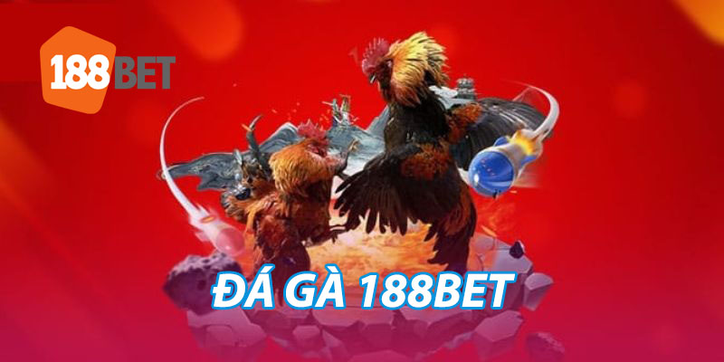 đá gà 188bet