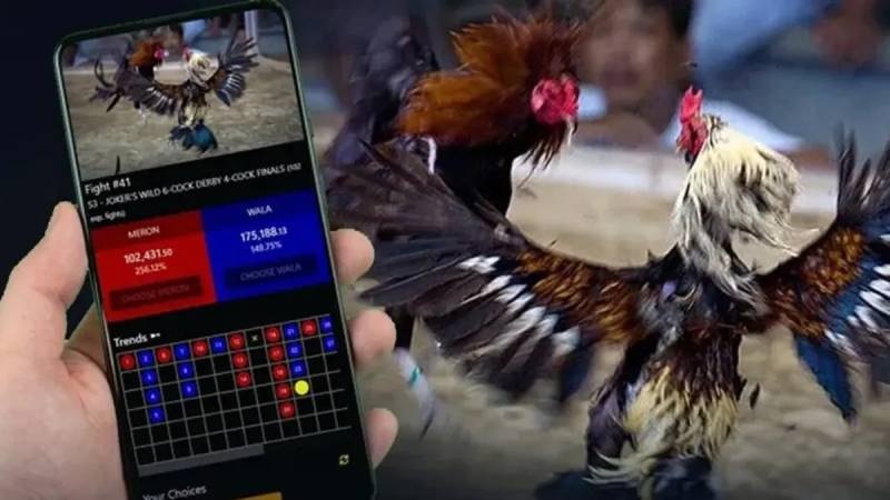 tìm hiểu về đá gà tại 188bet